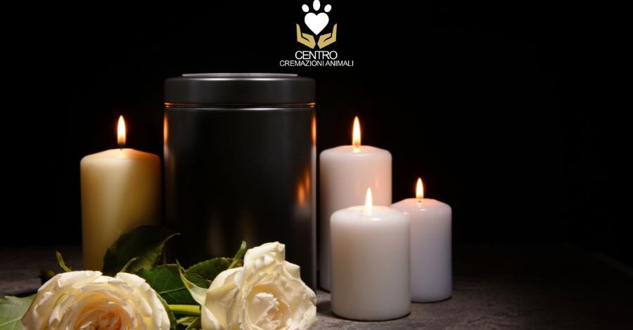 Cremazione Animali Domestici Salerno