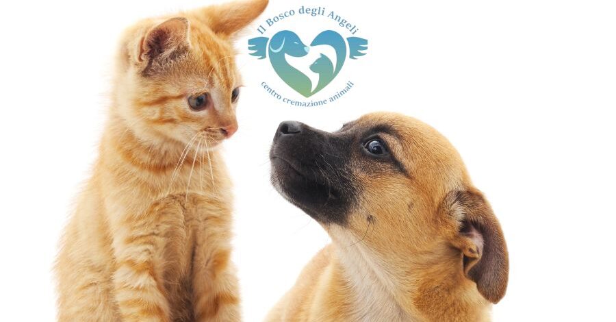 cremazione animali salerno
