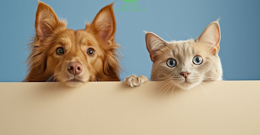 centro cremazione animali